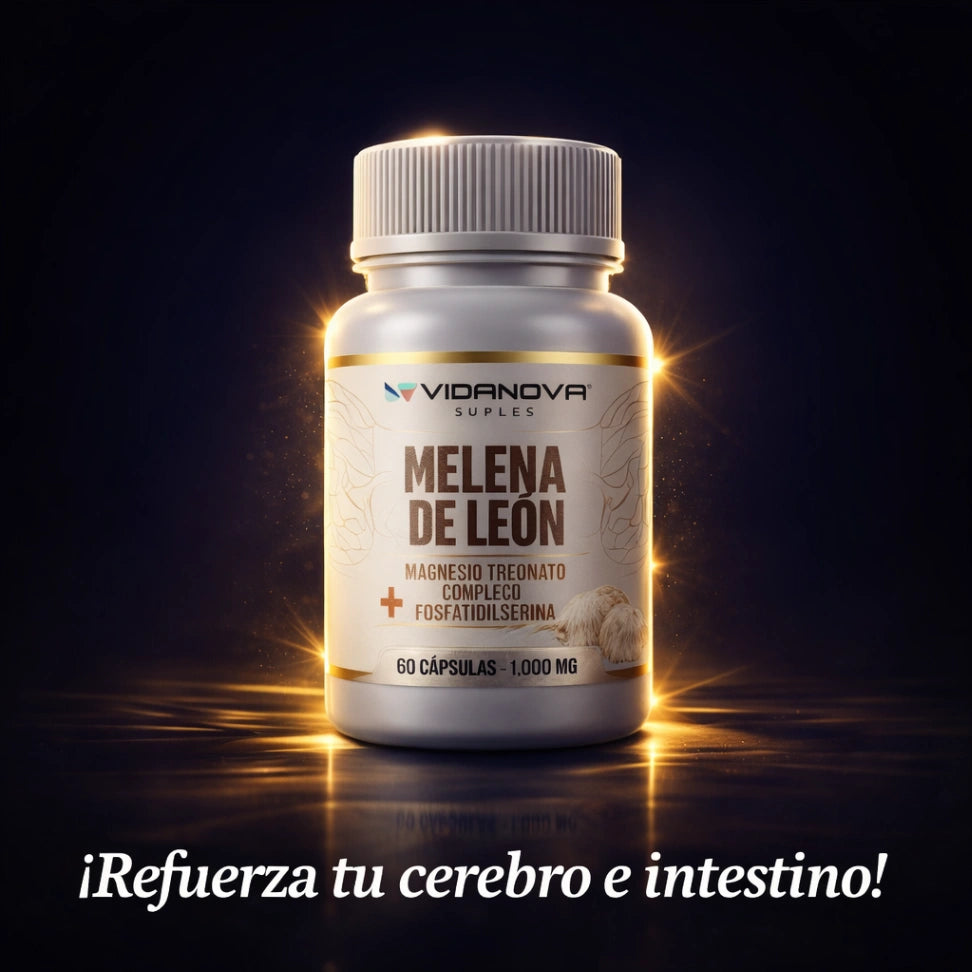 Melena de León Fortificada para tu rutina diaria