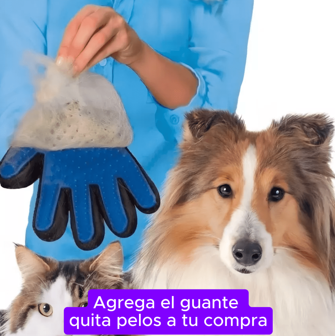 Cepillo de vapor para Mascotas Usb Naran