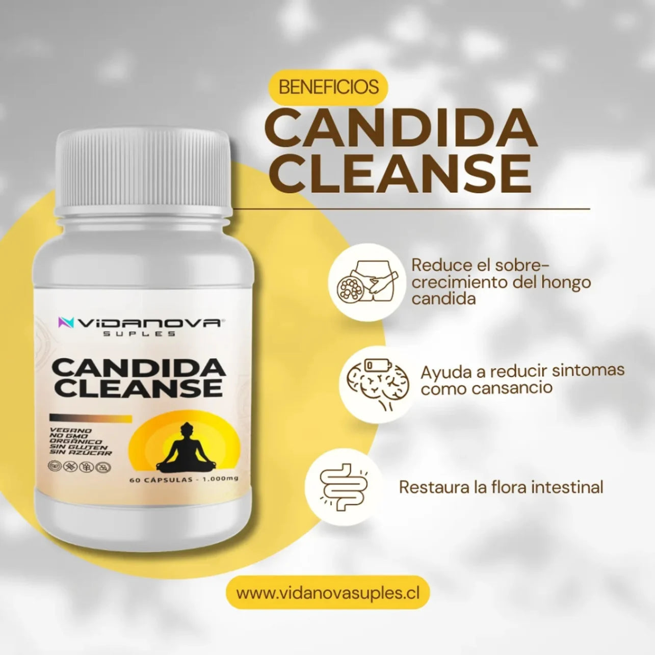 Vidanova Candida Cleanse Apoya tu equilibrio digestivo desde la rutina diaria