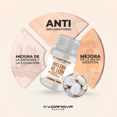 Melena de León Fortificada para tu rutina diaria
