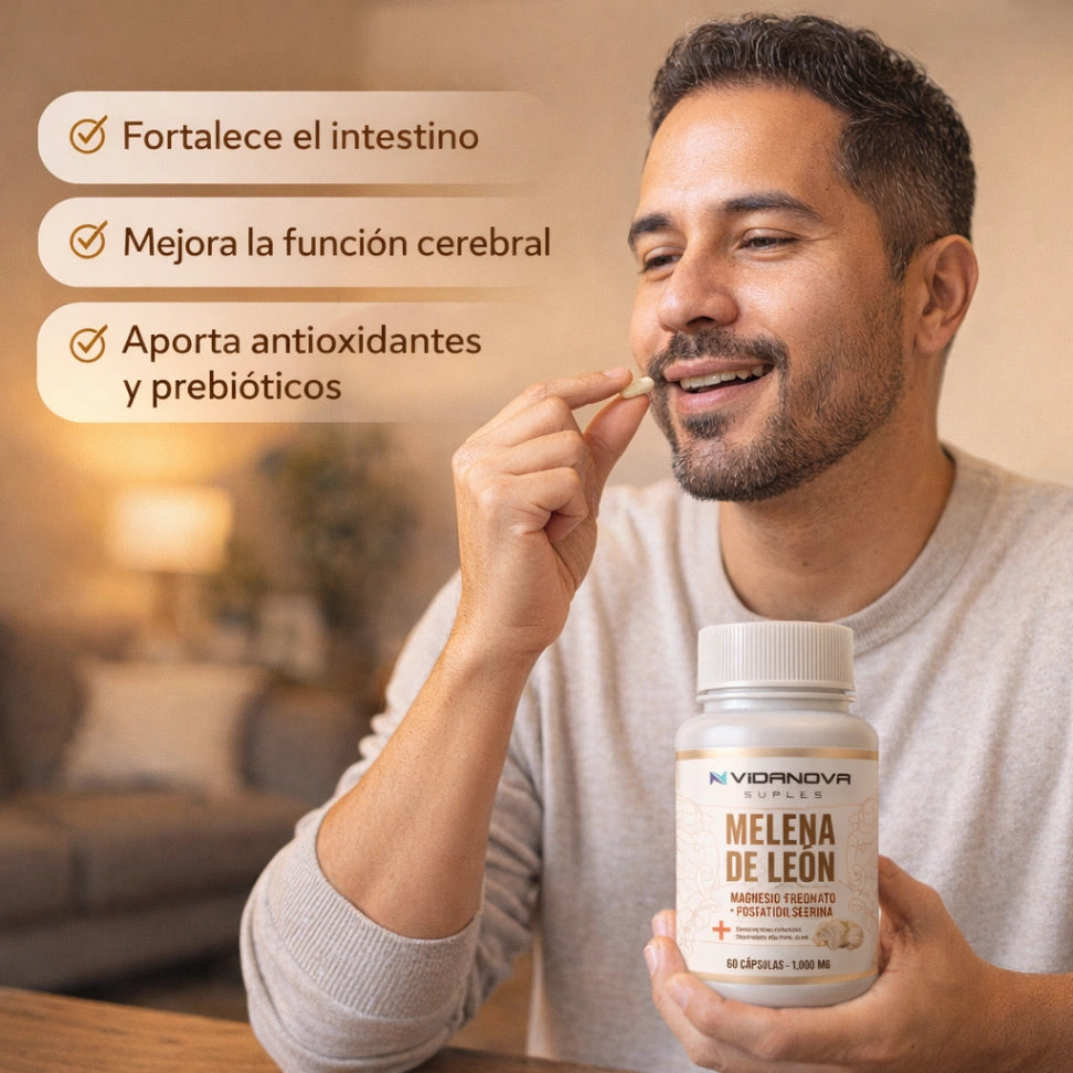Melena de León Fortificada para tu rutina diaria